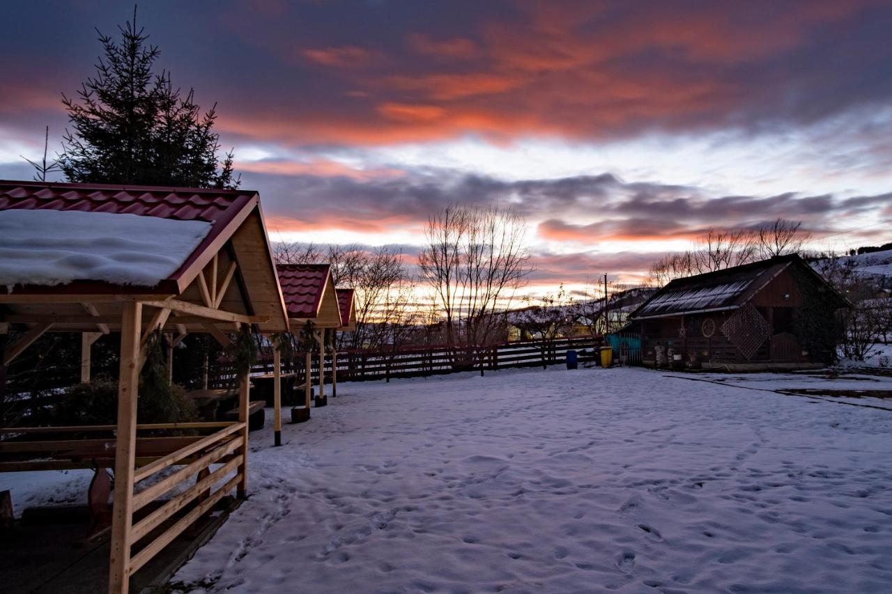 Pensiunea Bucovina Гура-Гуморулуй Экстерьер фото